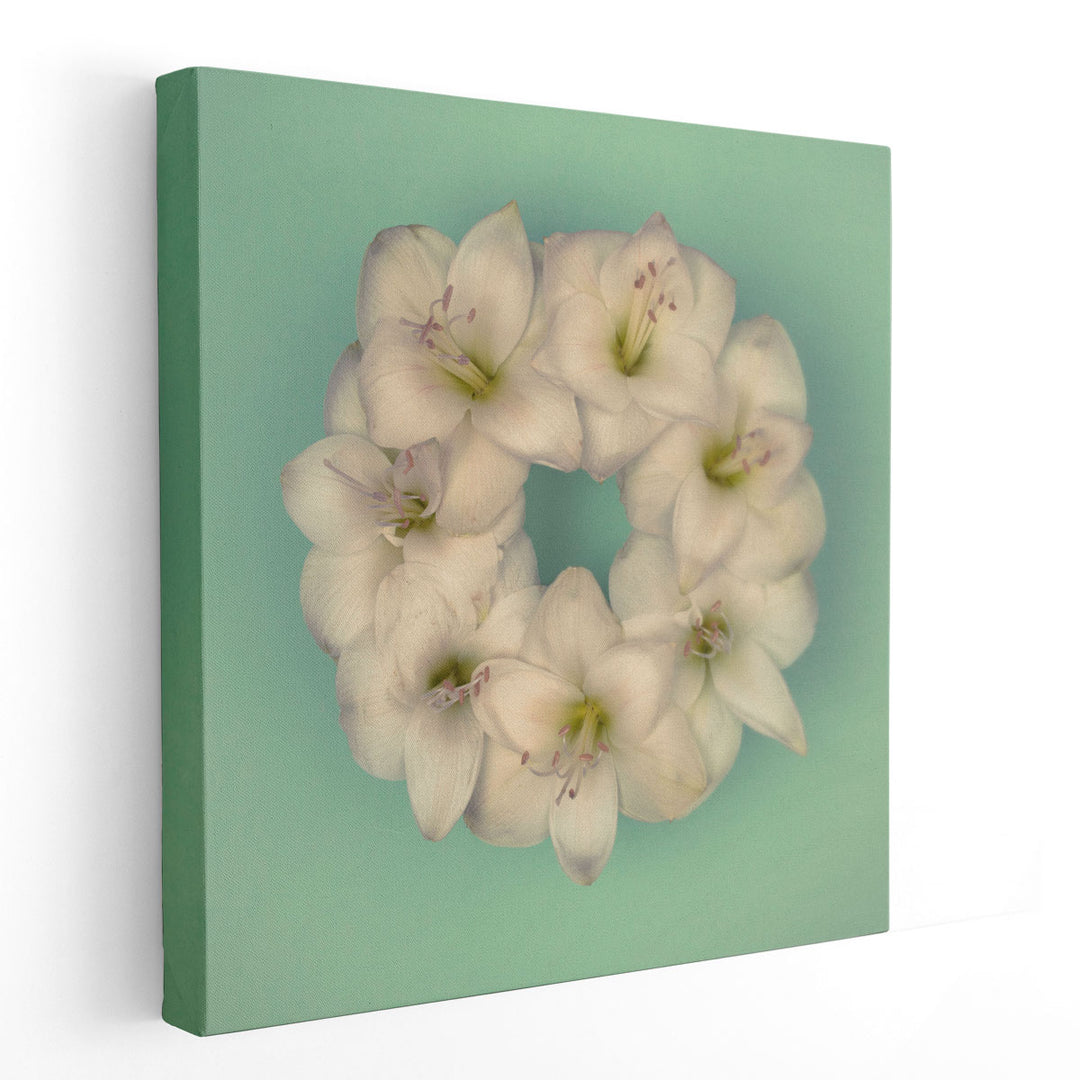 Amaryllis Flower Wreath 3 - Canvas Print Wall Art