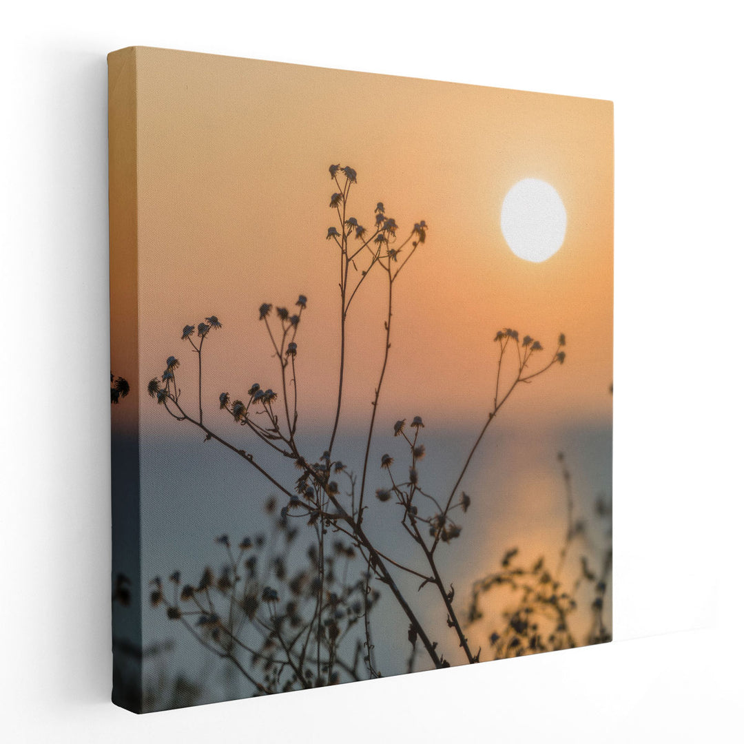 Plants Silhouette - Canvas Print Wall Art