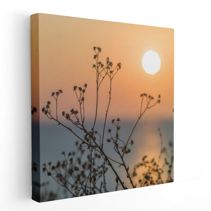 Plants Silhouette - Canvas Print Wall Art