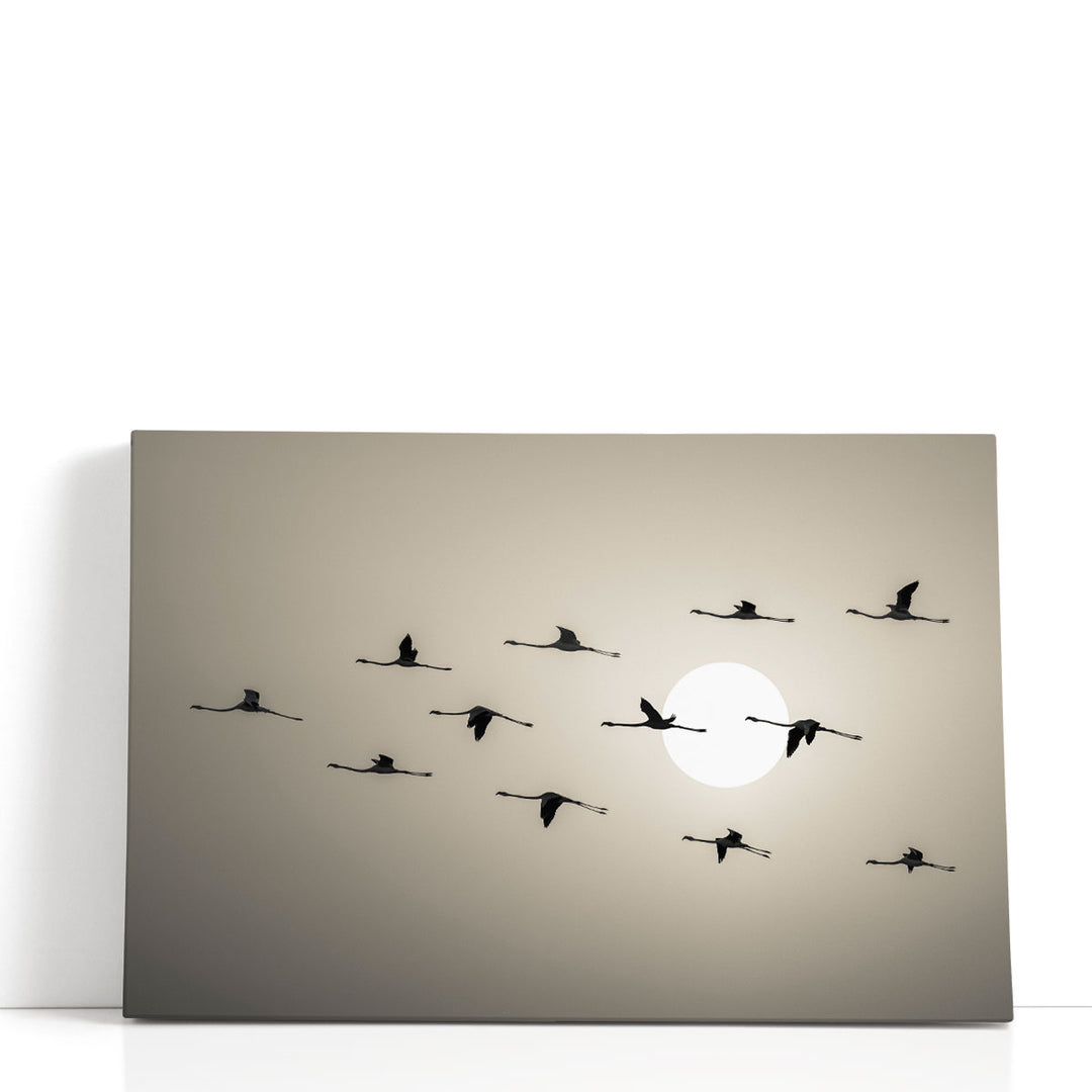 Flamingo Sunset - Canvas Print Wall Art