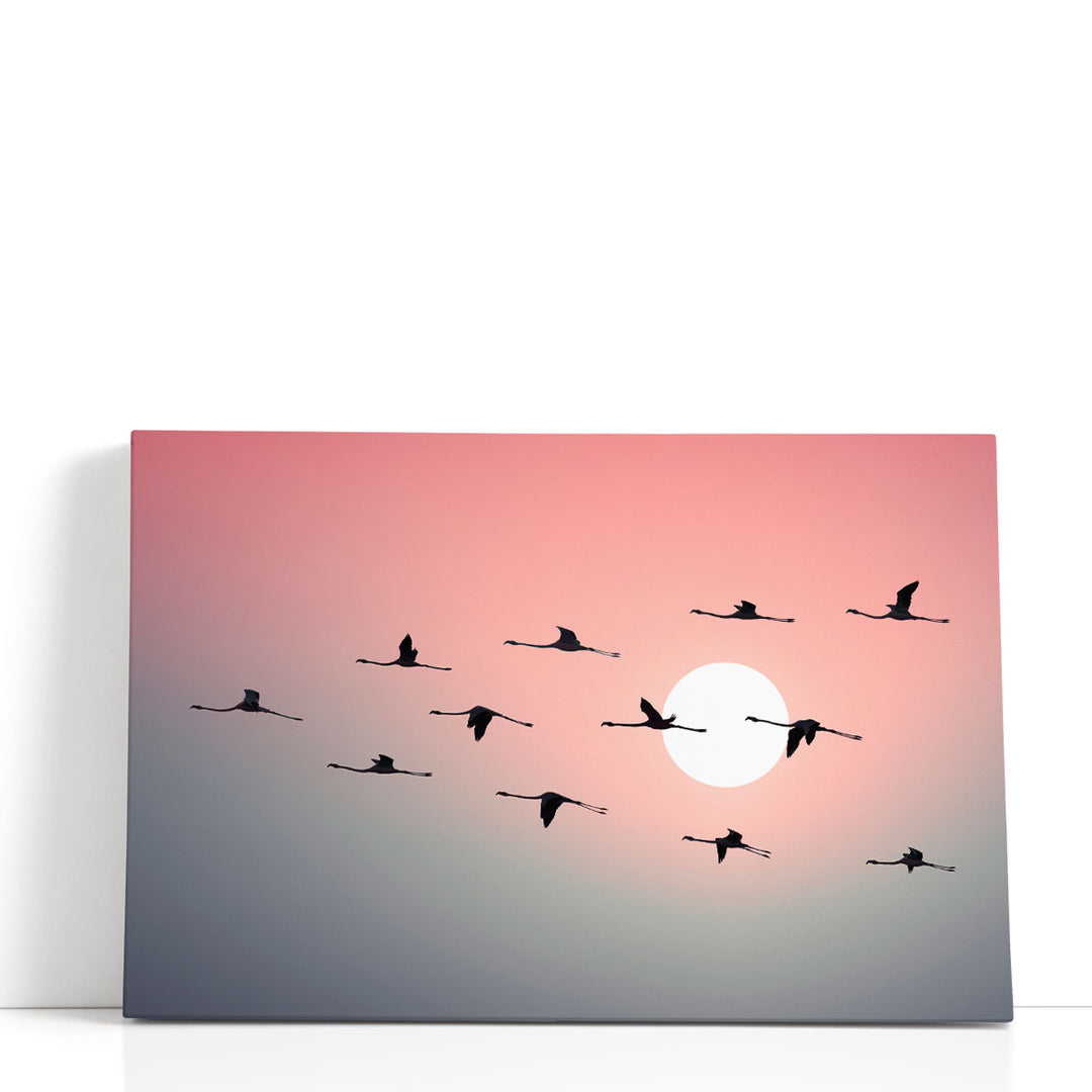 Flock of Flamingos Flying in Sky during Sunset - Canvas Print Wall Art