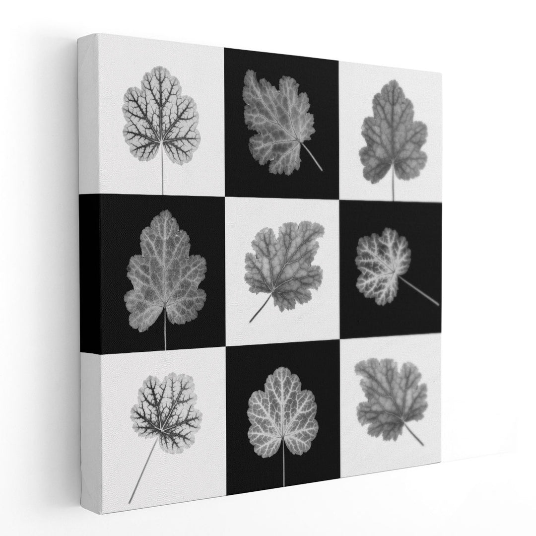 Heuchera Leaf Collage - Canvas Print Wall Art