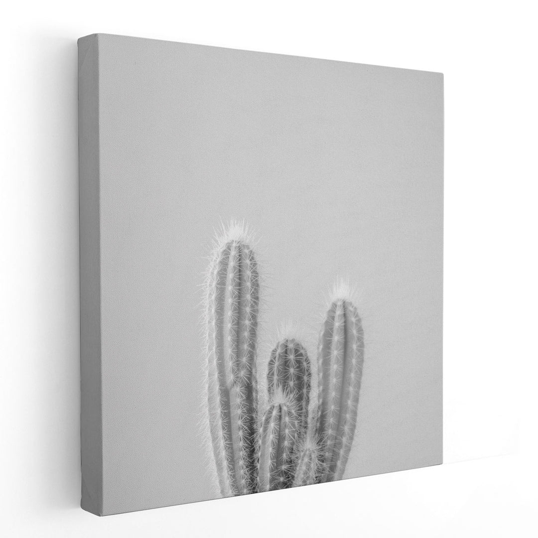 Micranthocereus Estevesii Cactus - Canvas Print Wall Art