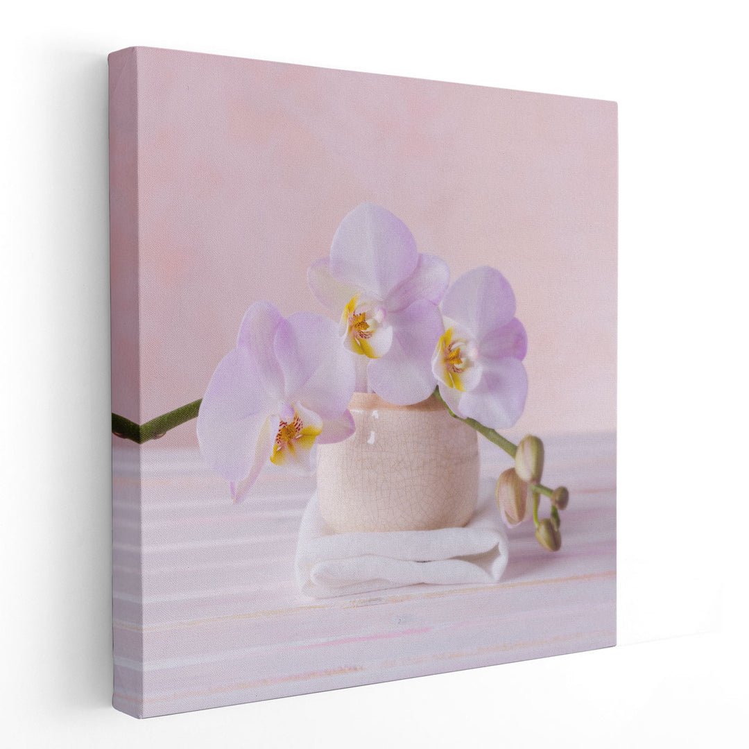 Orchids 2 - Canvas Print Wall Art