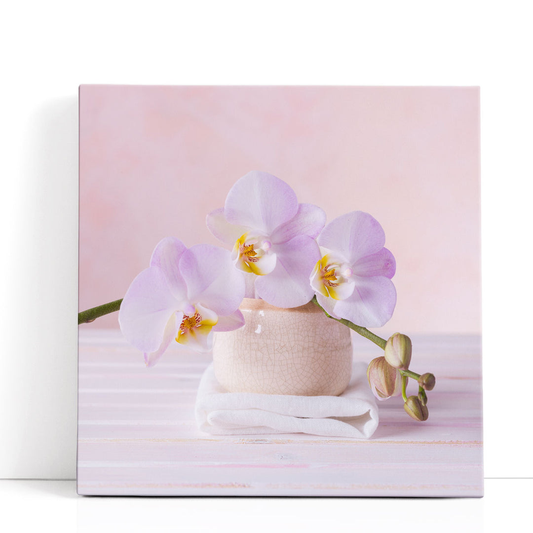 Orchids 2 - Canvas Print Wall Art