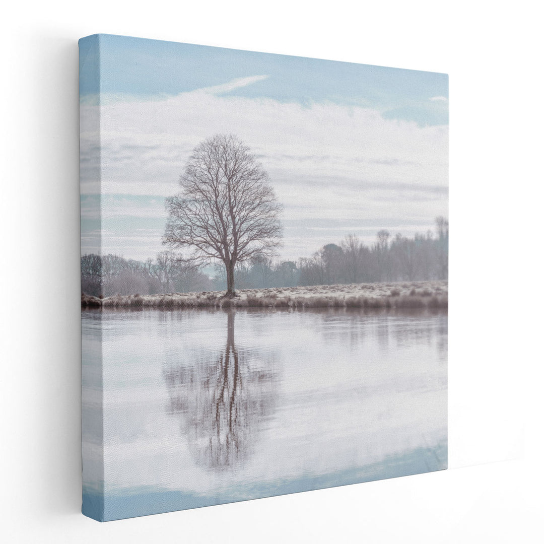 Reflection of a Tree in a Pond - Canvas Print Wall Art