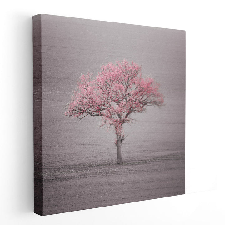 Single Tree in Foggy Grassfield - Canvas Print Wall Art