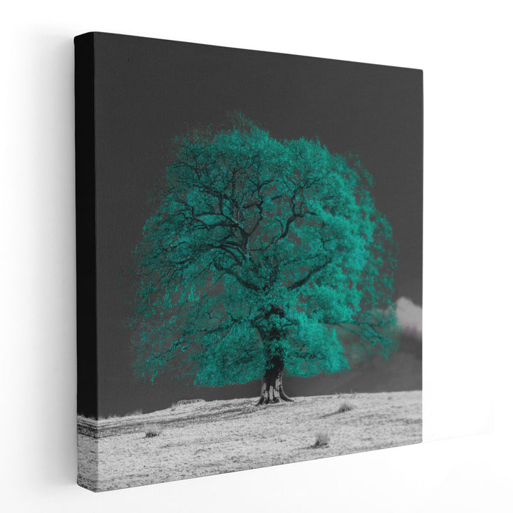 Tree on a Hill - Canvas Print Wall Art