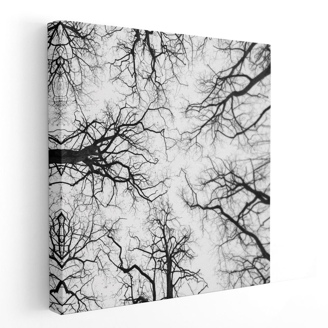 Tree Tops against the Sky - Canvas Print Wall Art