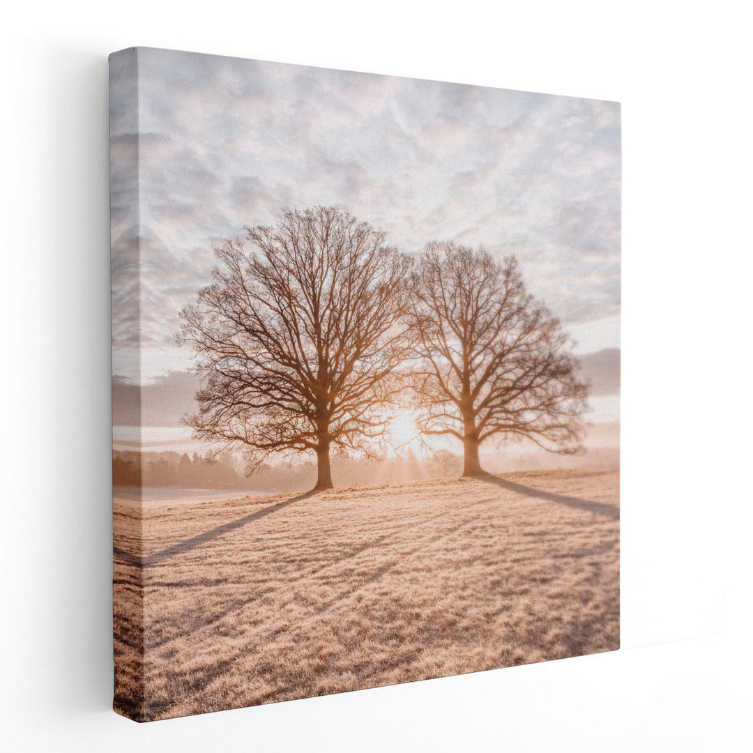 Trees in Meadow - Canvas Print Wall Art