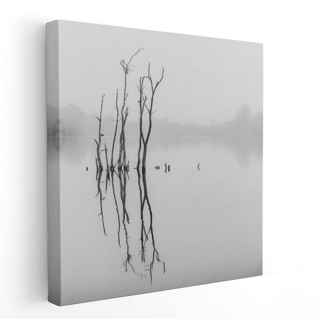 Twigs in Lake - Canvas Print Wall Art