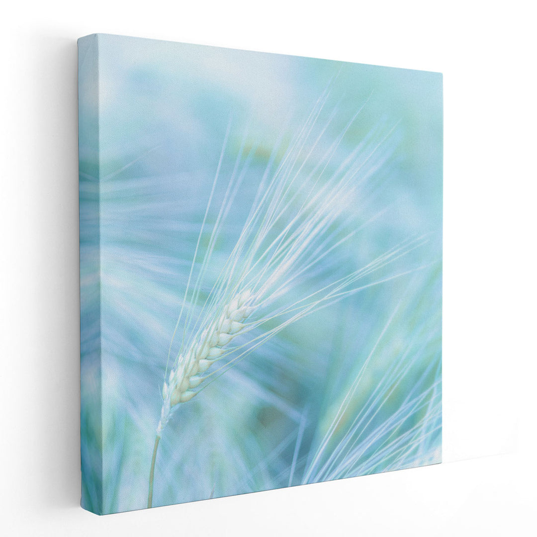 Wheat Farm - Canvas Print Wall Art