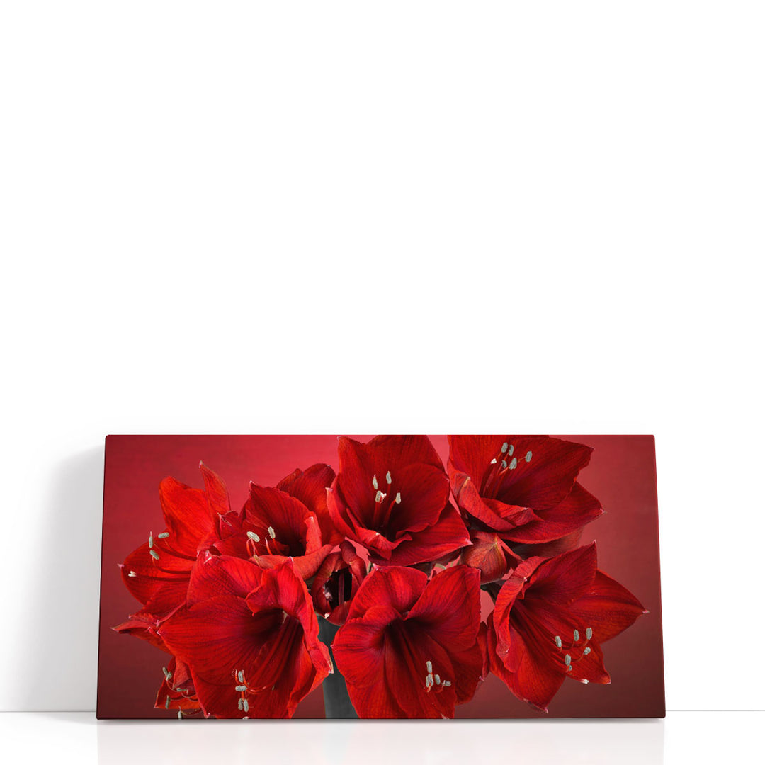 Amaryllis Flower 1 - Canvas Print Wall Art