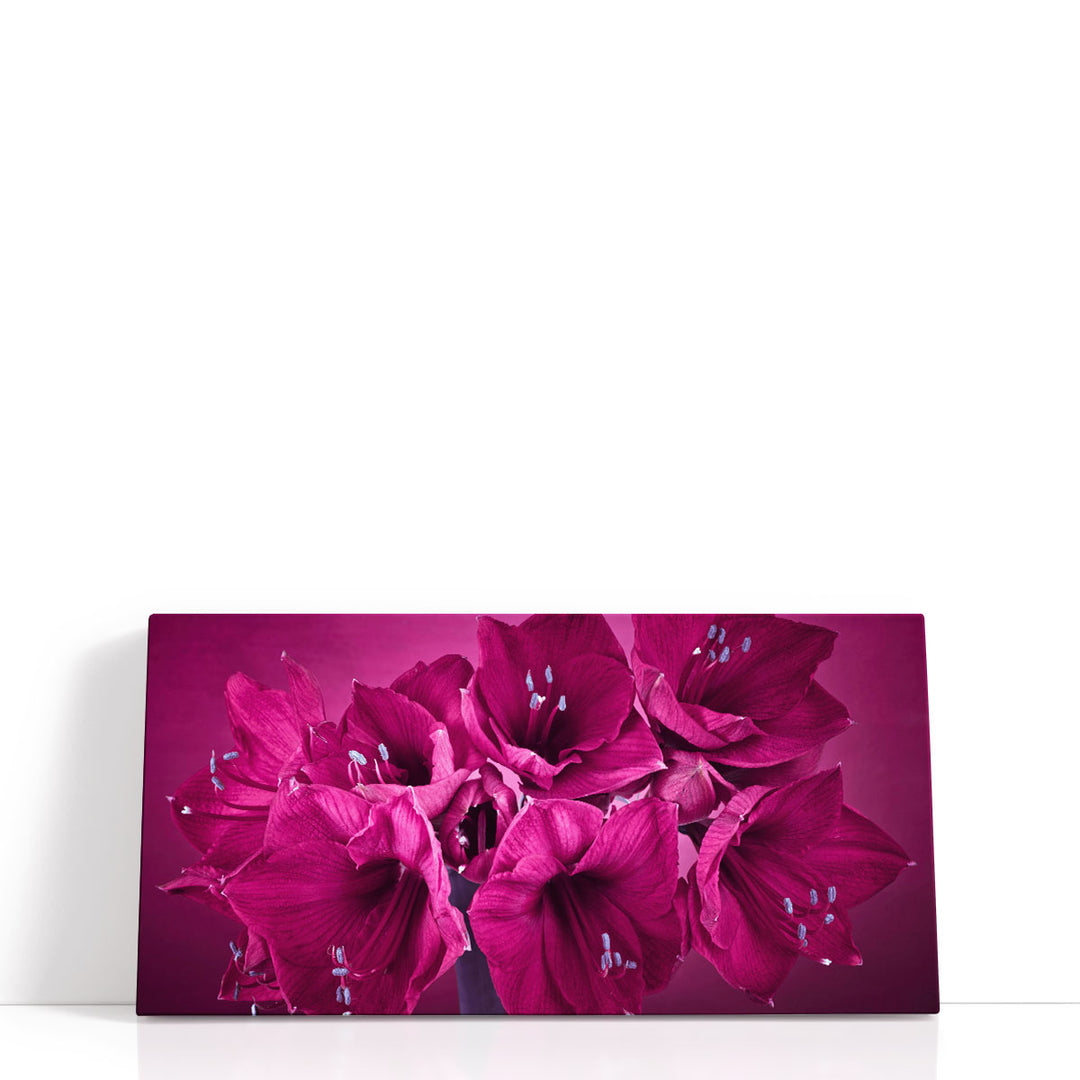 Amaryllis Flower 2 - Canvas Print Wall Art