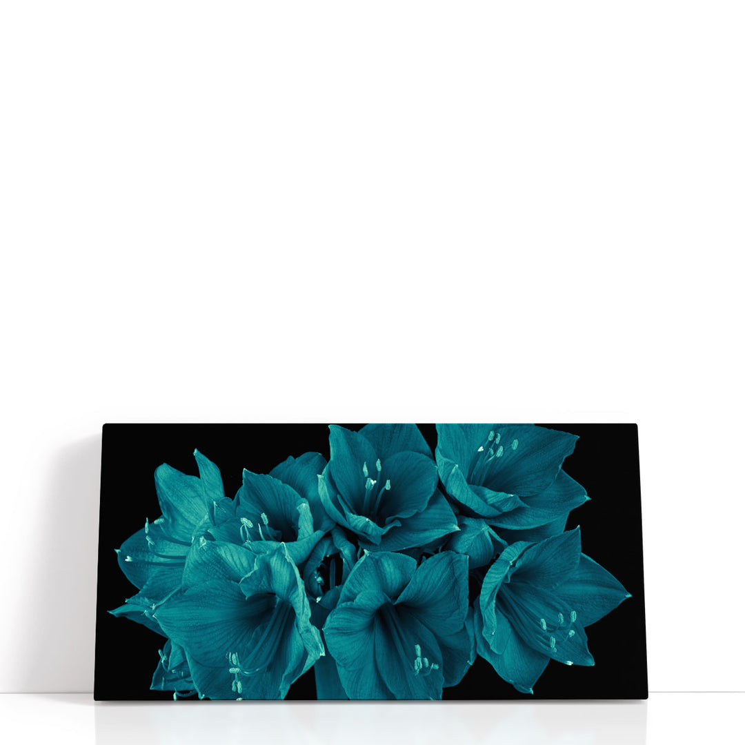 Amaryllis Flower 3 - Canvas Print Wall Art