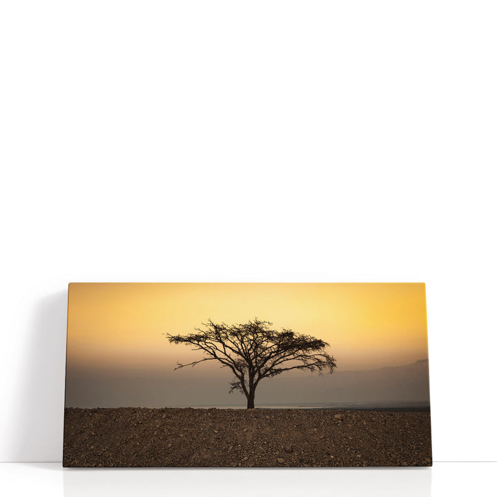 Dry Tree in the Desert near the Dead Sea, Israel - Canvas Print Wall Art