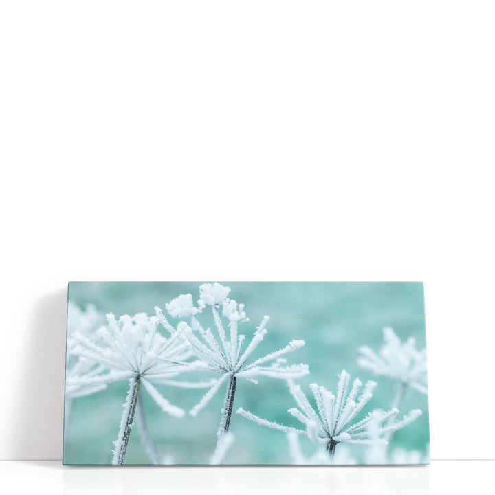 Frosty Cow Parsley - Canvas Print Wall Art