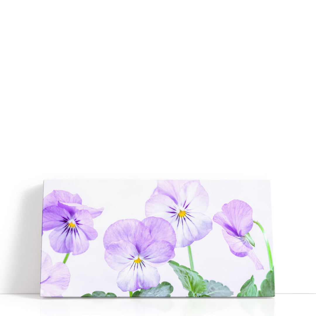 Violet Flowers - Canvas Print Wall Art