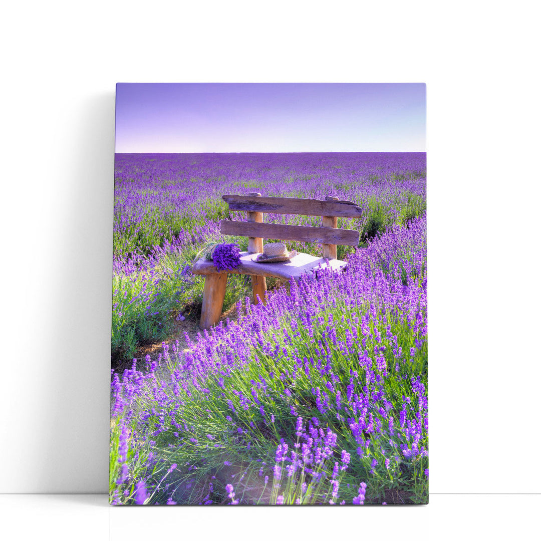 Bench In Lavender Field - Canvas Print Wall Art