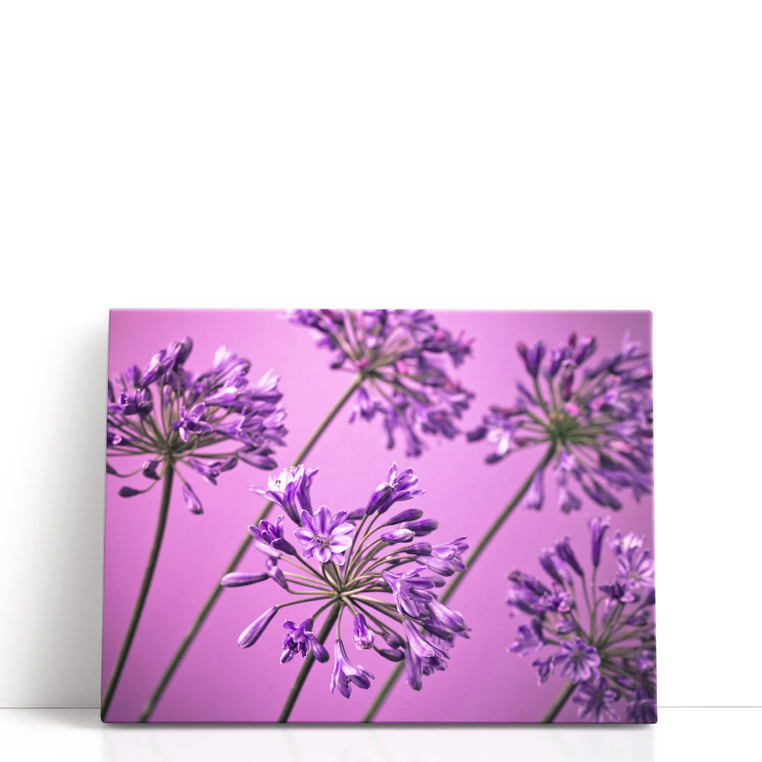 African Lilies 1 - Canvas Print Wall Art