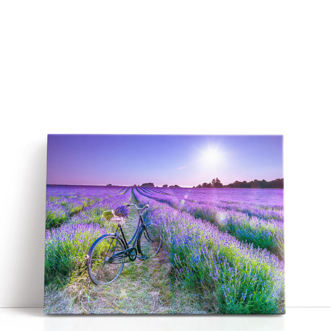 Bicycle With Flowers In A Lavender Field - Canvas Print Wall Art