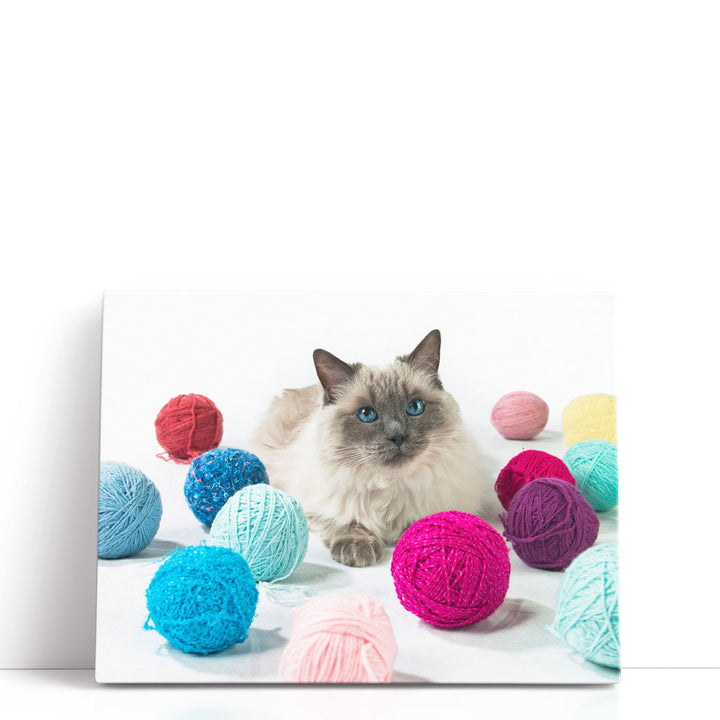 Cat With Balls Of Wool - Canvas Print Wall Art