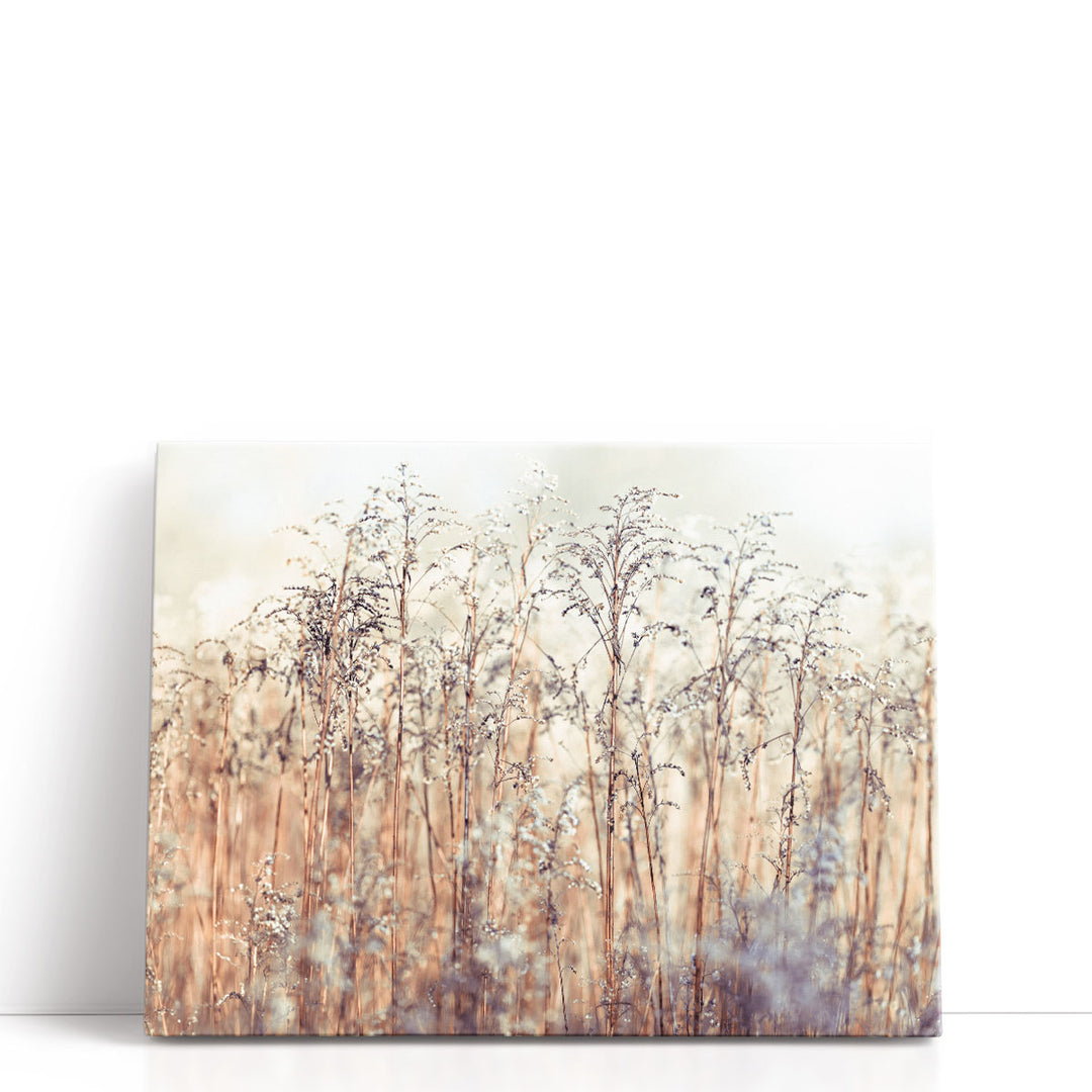 Grass Reeds - Canvas Print Wall Art