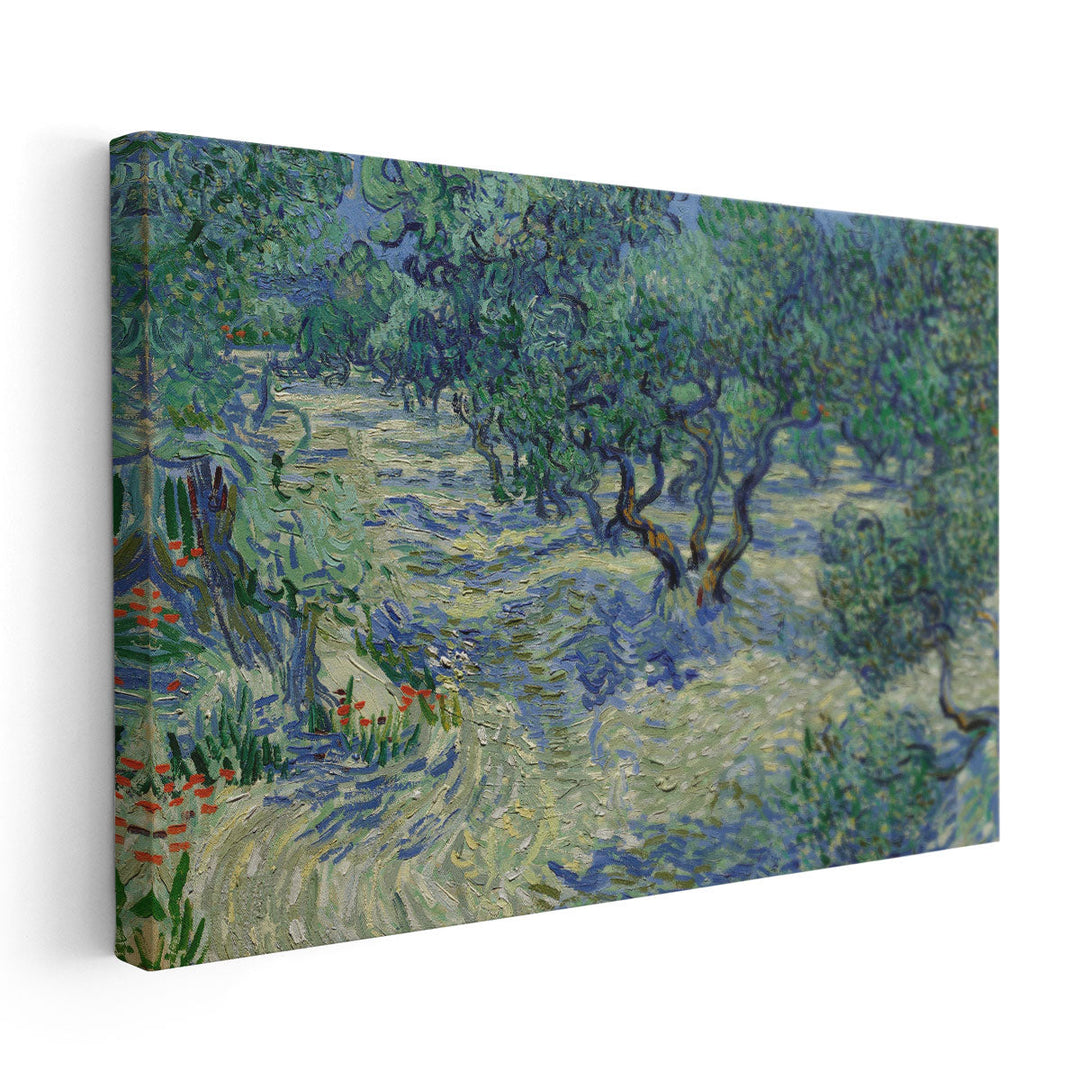 Olive Orchard, 1889 - Canvas Print Wall Art