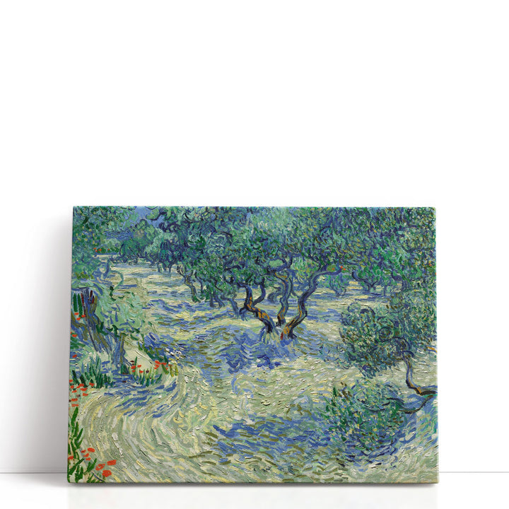 Olive Orchard, 1889 - Canvas Print Wall Art
