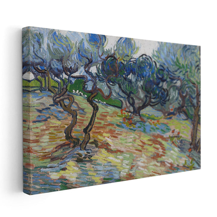 Olive Trees Bright Blue Sky, 1889 - Canvas Print Wall Art