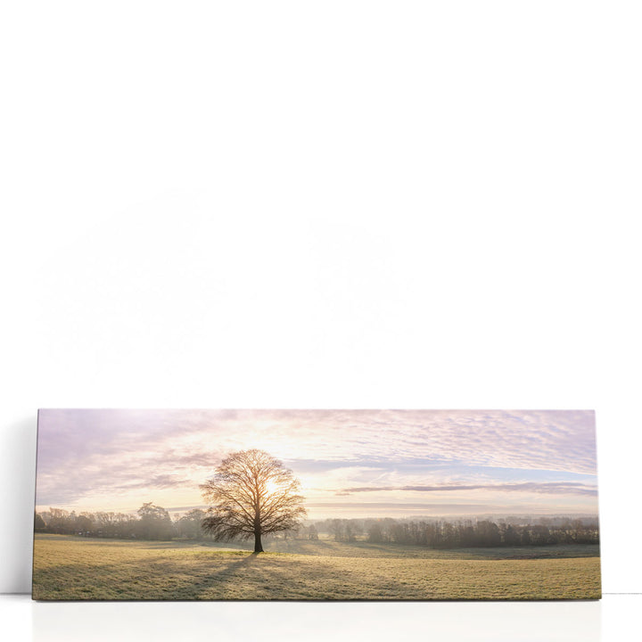 Trees in Meadow II - Canvas Print Wall Art