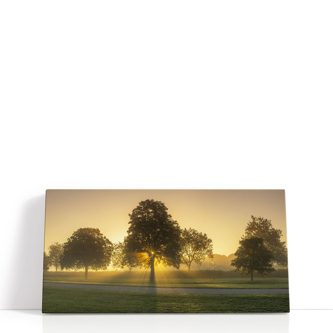 Misty Sunrise in Countryside, Berkshire, UK - Canvas Print Wall Art