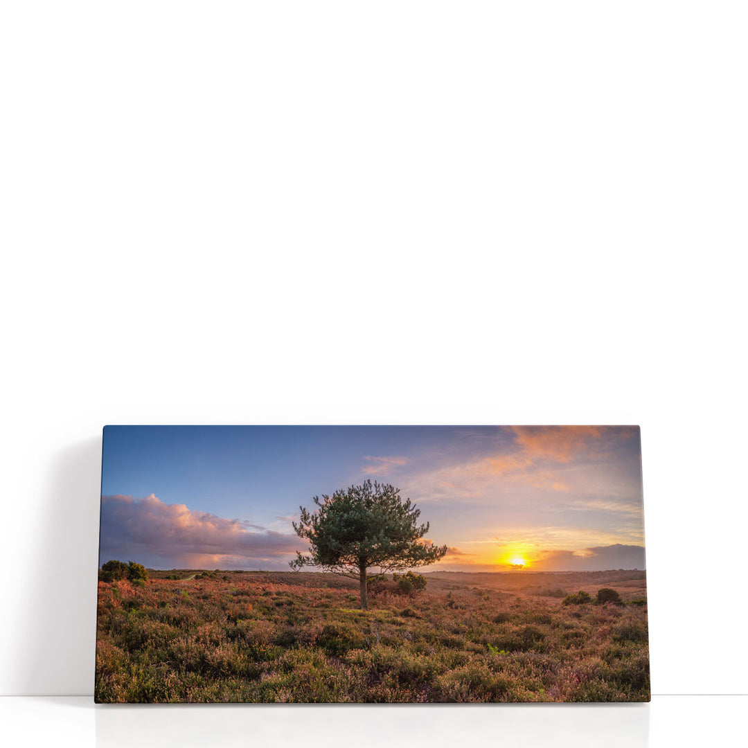 Single Tree in Meadow - Canvas Print Wall Art