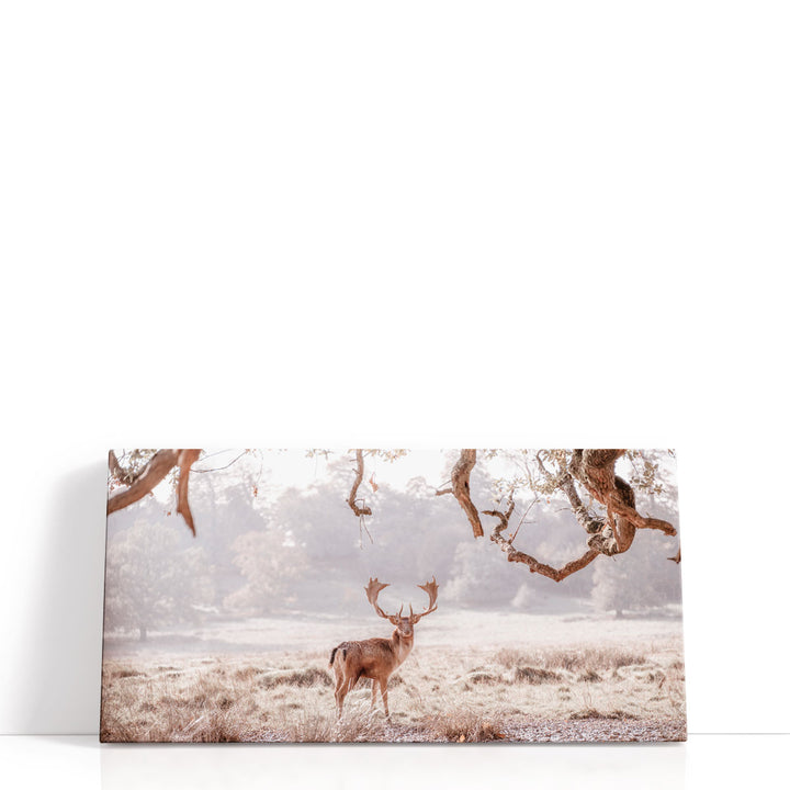 Stag in a Field - Canvas Print Wall Art