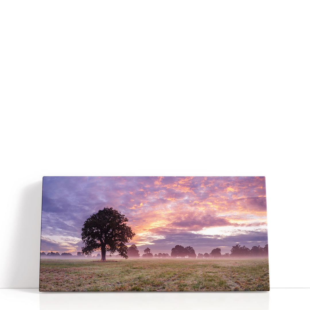 Tree in a Field at Sunrise - Canvas Print Wall Art