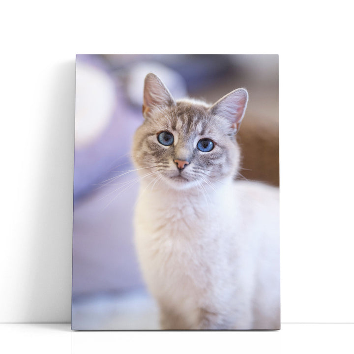 Cute Cat - Canvas Print Wall Art