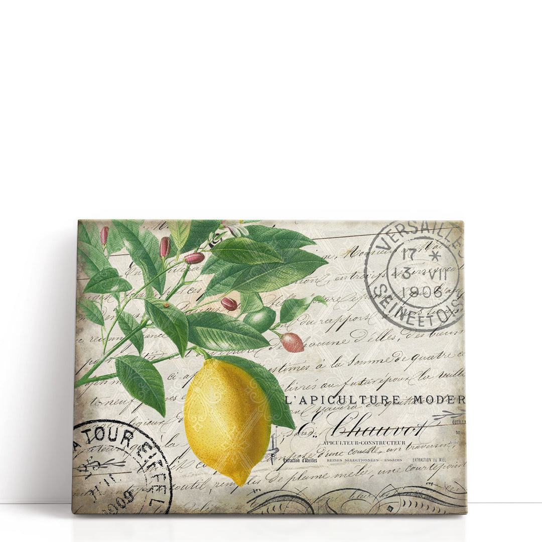 Vintage Lemon- Canvas Print Wall Art