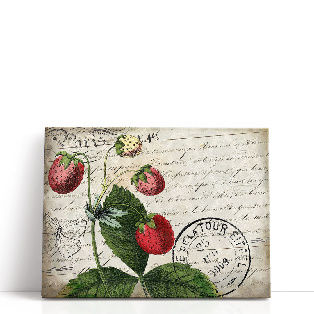 Vintage Strawberry - Canvas Print Wall Art
