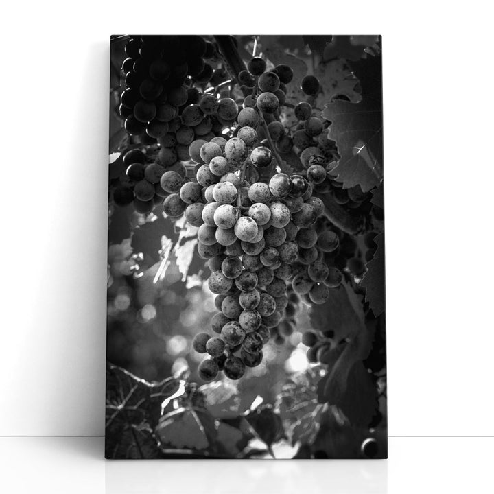 Fruit of The Vine - Canvas Print Wall Art