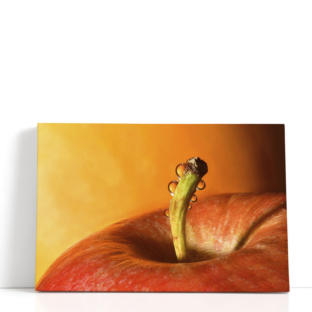 Apples and Oranges 1 - Canvas Print Wall Art