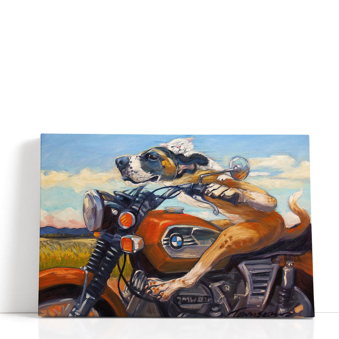Fast And Furriest - Canvas Print Wall Art