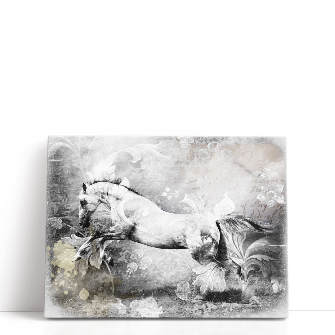 White Horse - Canvas Print Wall Art