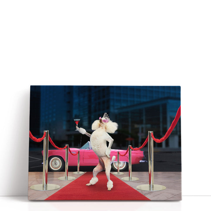 Poodle Premier - Canvas Print Wall Art