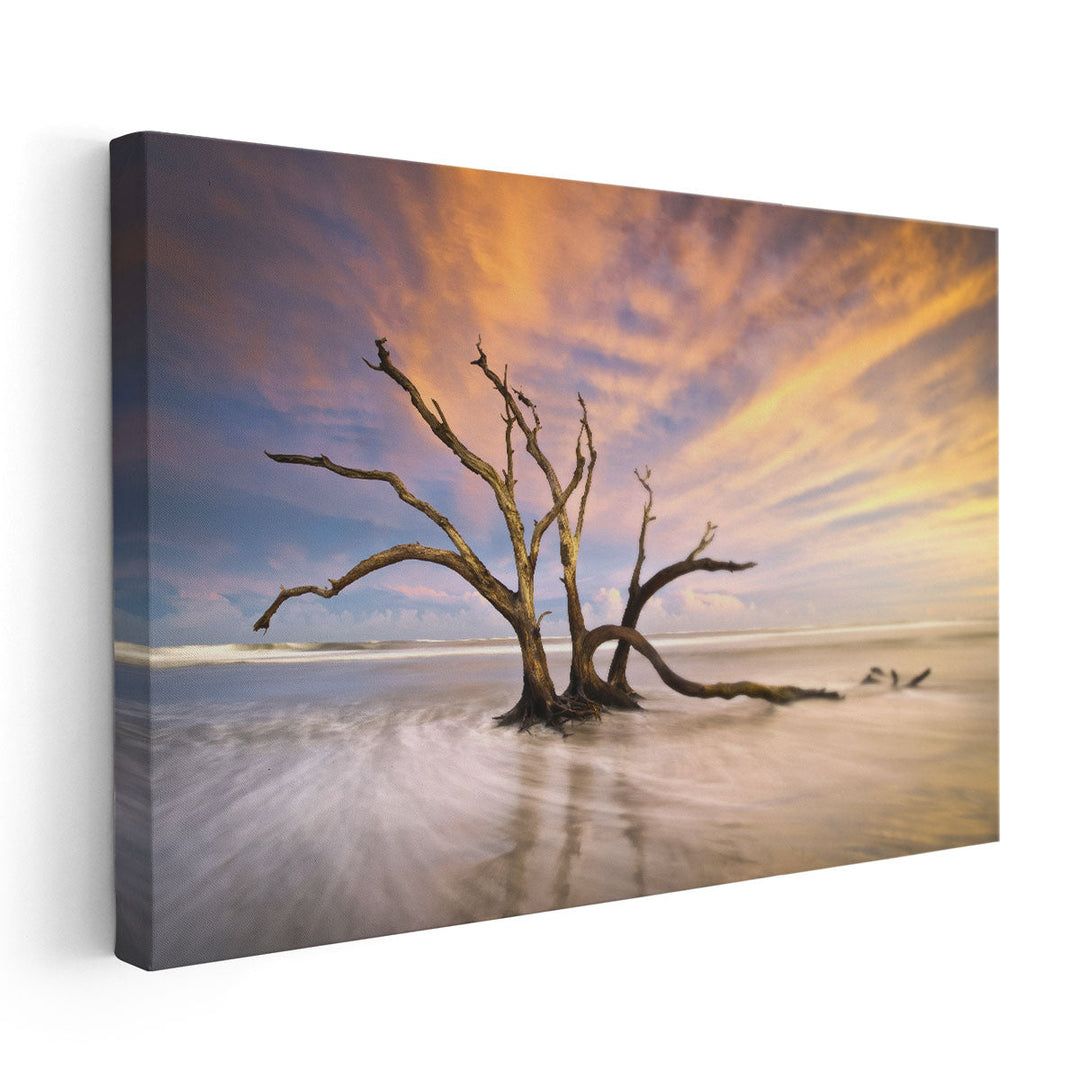 Folly Beach, Dead Tree Driftwood Ocean Sunset Landscape - Canvas Print Wall Art