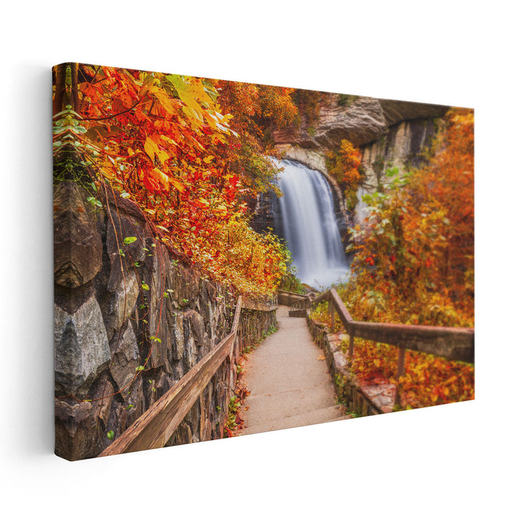 Looking Glass Falls in Pisgah National Forest, North Carolina - Canvas Print Wall Art