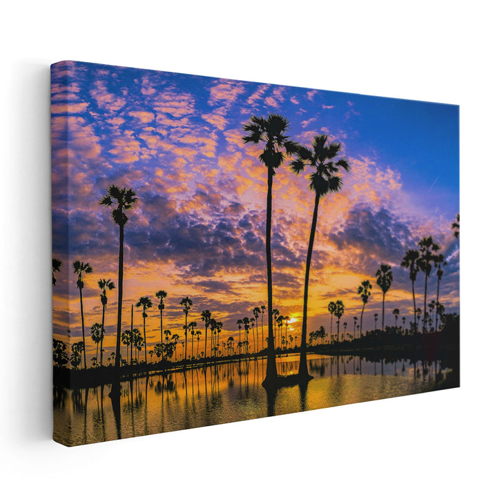 Sugar Palm Trees on The Paddy Field in Sunrise, Thani, Thailand - Canvas Print Wall Art