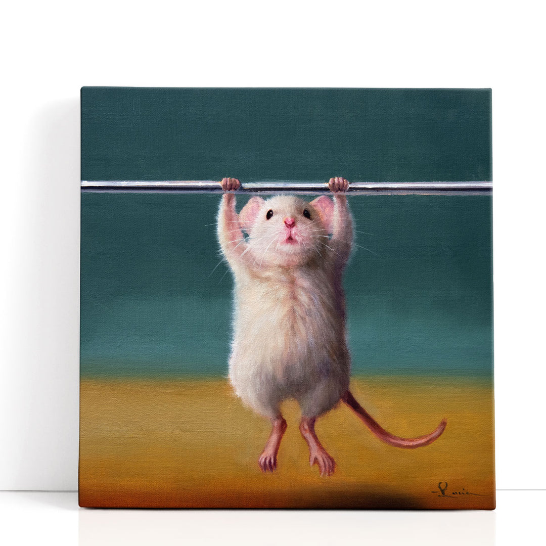 Gym Rat Pull Up - Canvas Print Wall Art