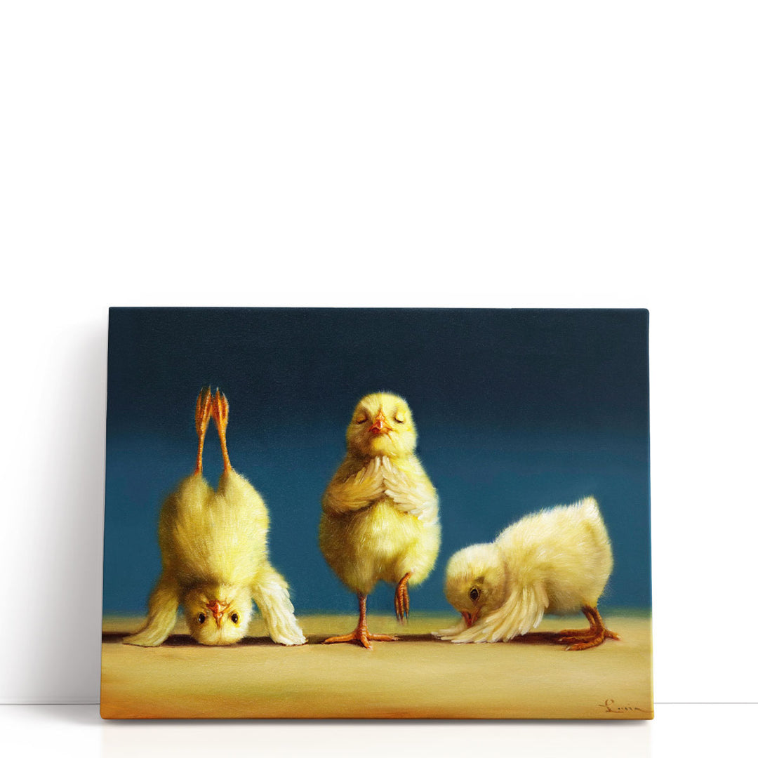 Yoga Chicks - Canvas Print Wall Art