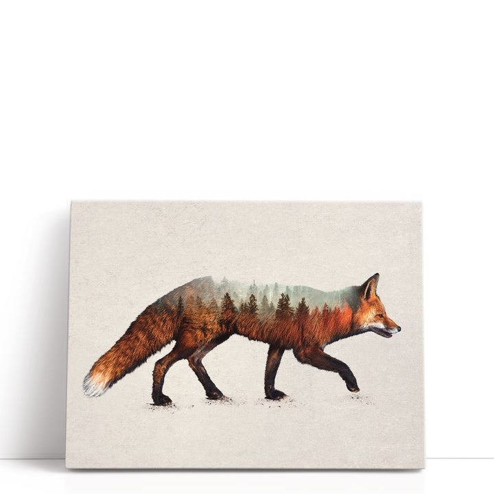 The Red Fox - Canvas Print Wall Art