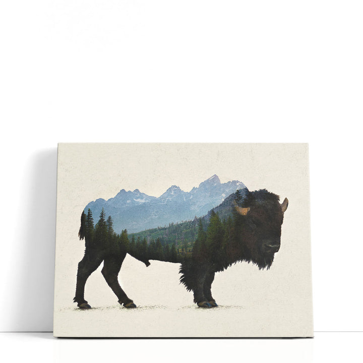 Grand Teton Bison - Canvas Print Wall Art